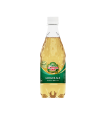 Canada Dry Ginger Ale Japan 490ml