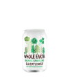 Whole Earth Organic Sparkling Elderflower Juice 330ml